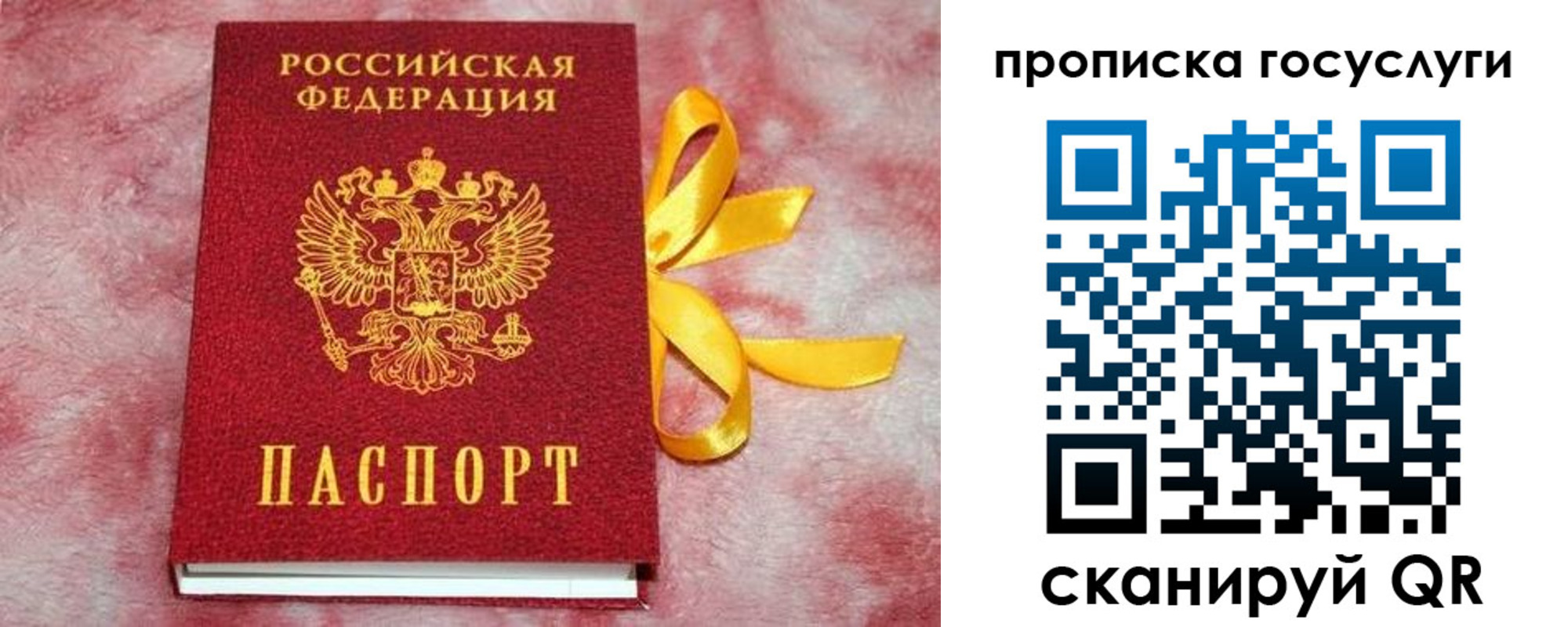 регистрация в Новосибирской области